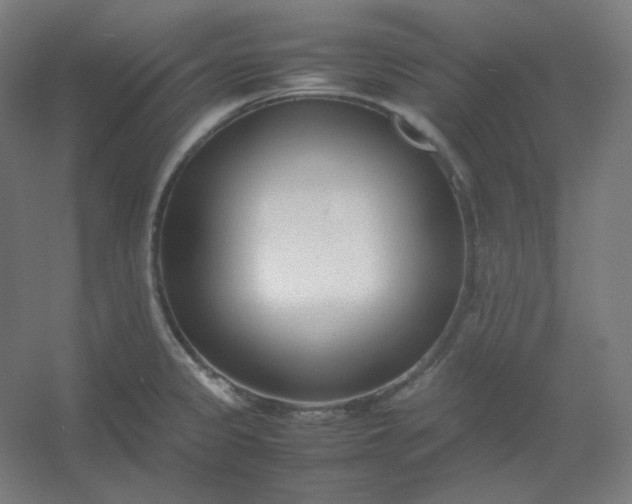 X0000054391333200508121622