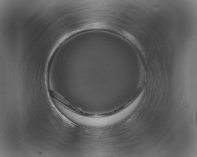 X0000054391334200508121622