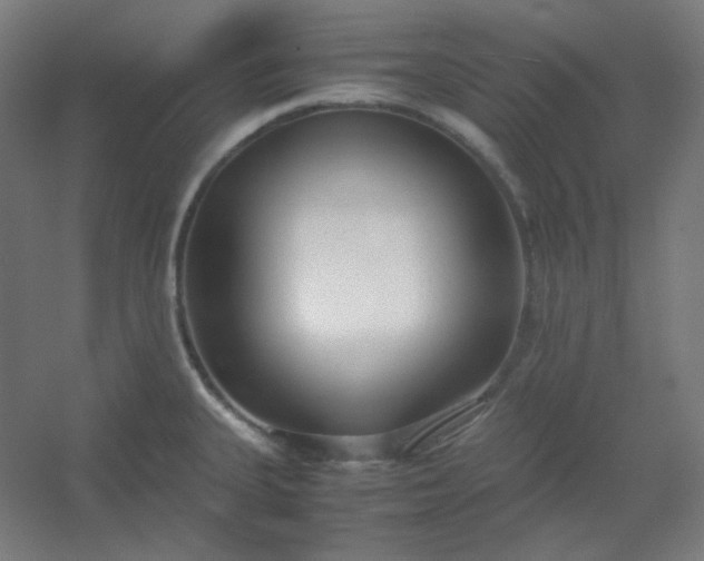 X0000054391335200508121622