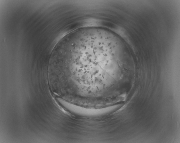 X0000054391337200508121623