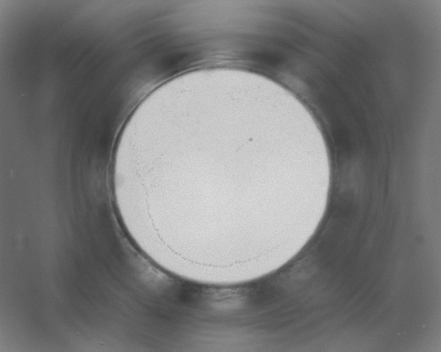 X0000054391338200508121623