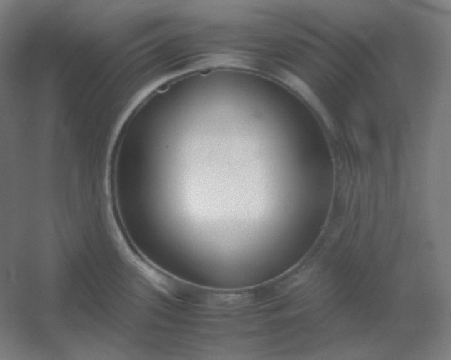 X0000054391339200508121623