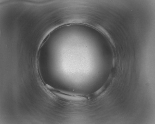 X0000054391340200508121623