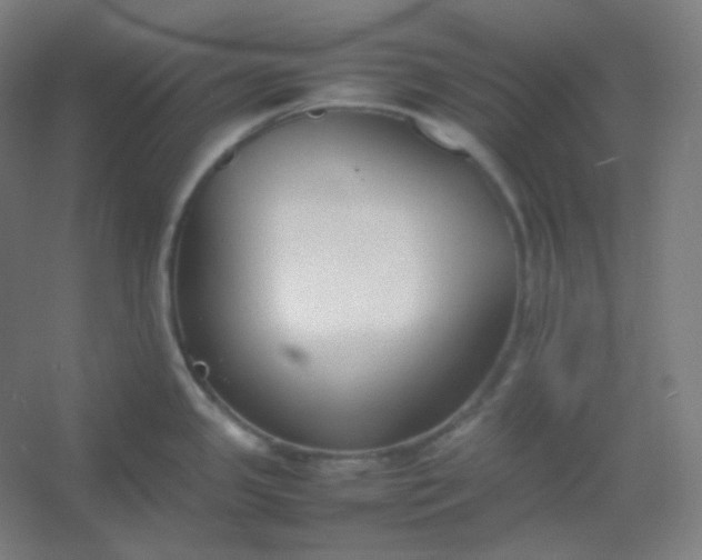 X0000054391341200508121623