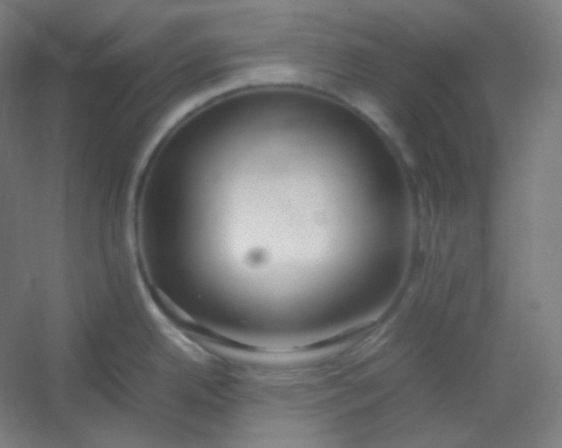 X0000054391342200508121623