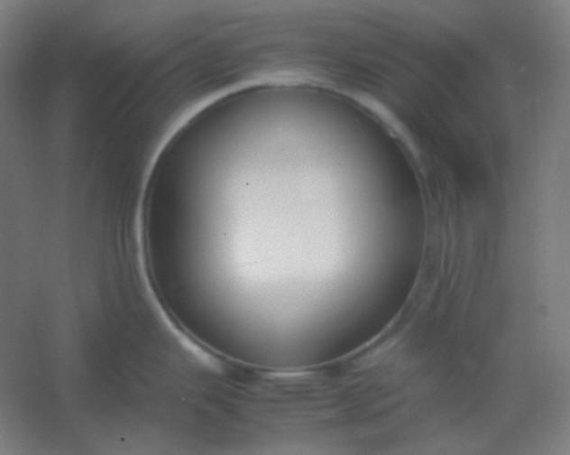 X0000054391343200508121623