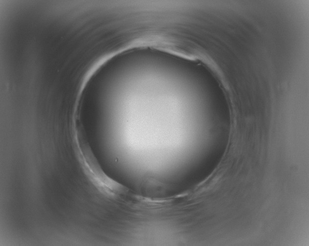 X0000054391344200508121623