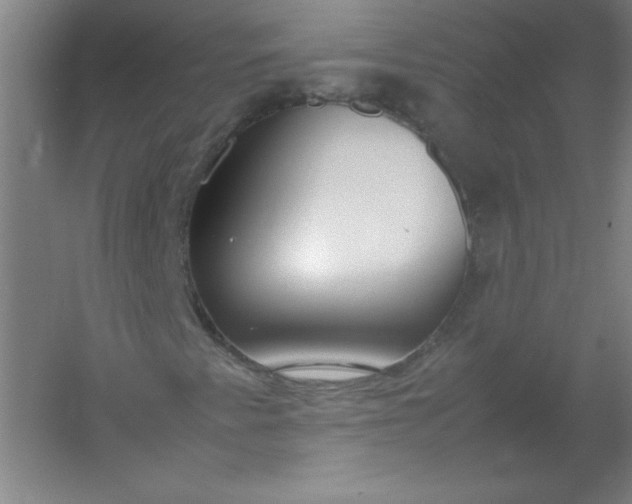 X0000054391345200508121622