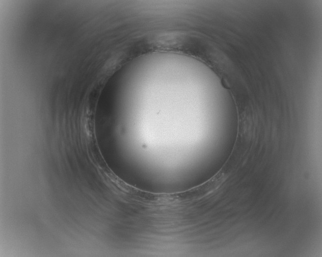 X0000054391346200508121622