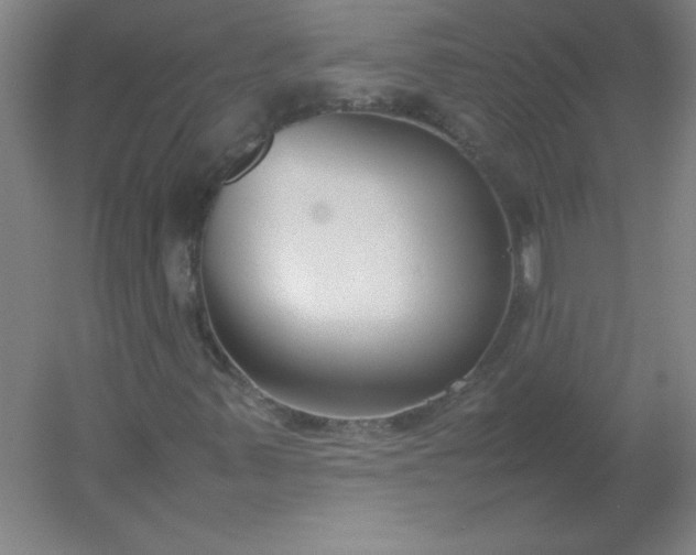 X0000054391347200508121622