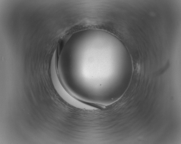 X0000054391348200508121622