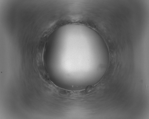 X0000054391349200508121622