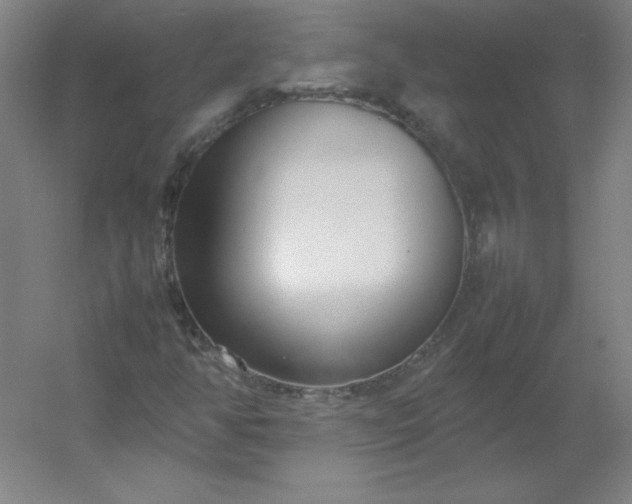 X0000054391350200508121622