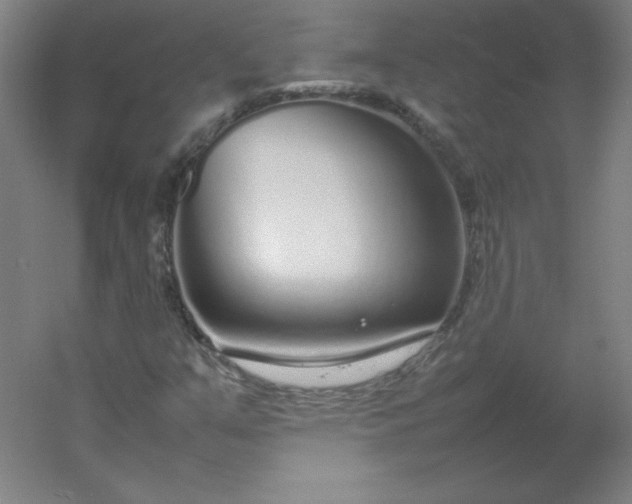 X0000054391351200508121622