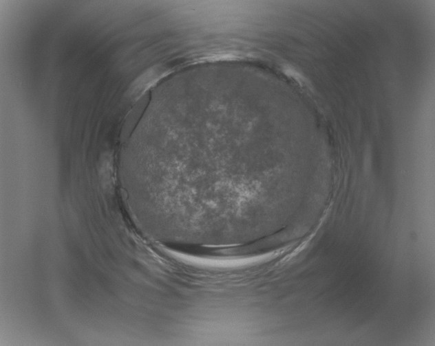 X0000054391353200508121622