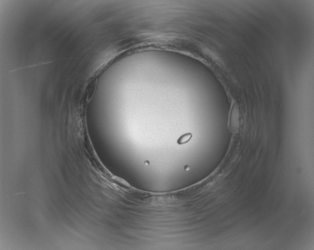 X0000054391354200508121622