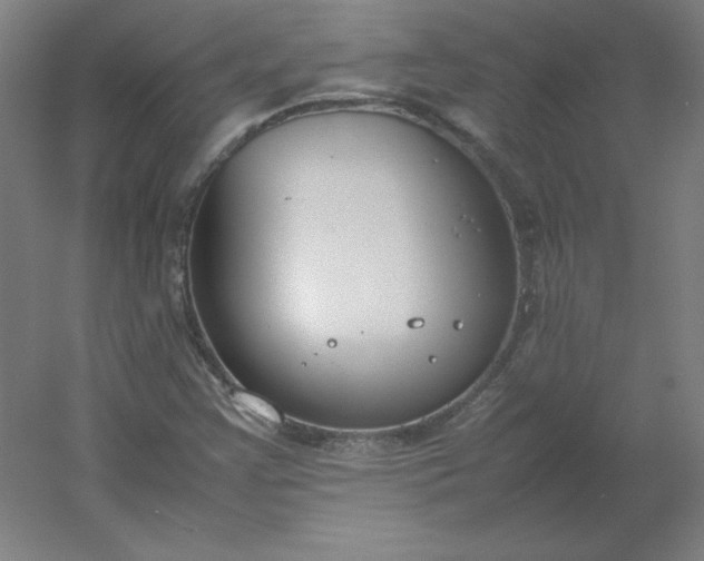 X0000054391355200508121622