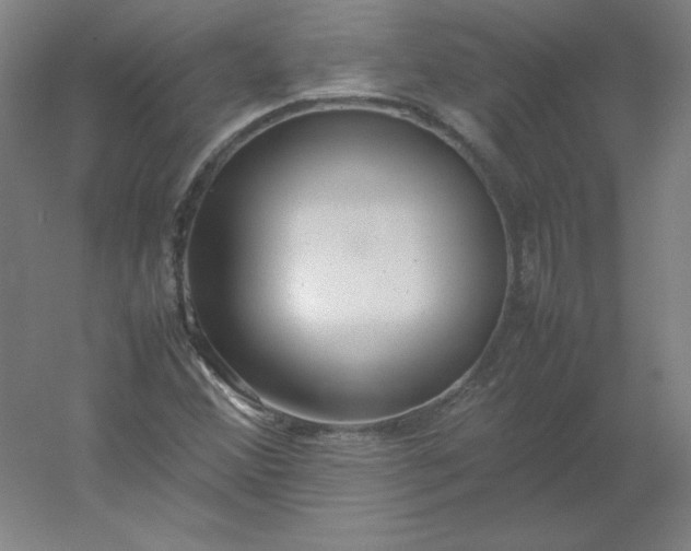 X0000054391356200508121622