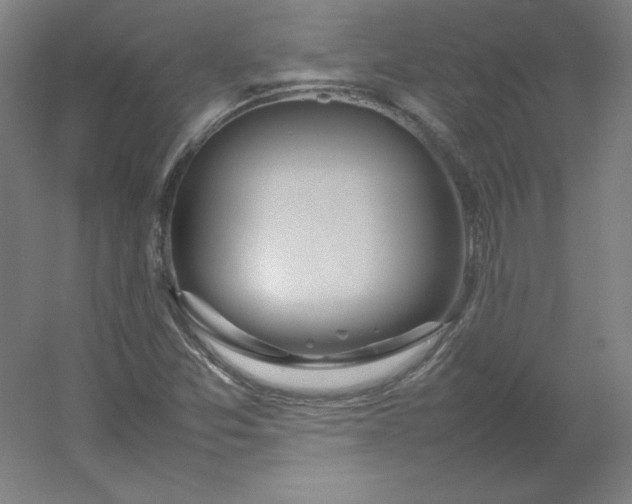 X0000054391357200508121622