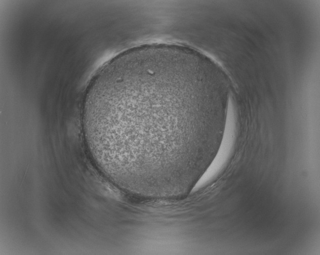 X0000054391359200508121622