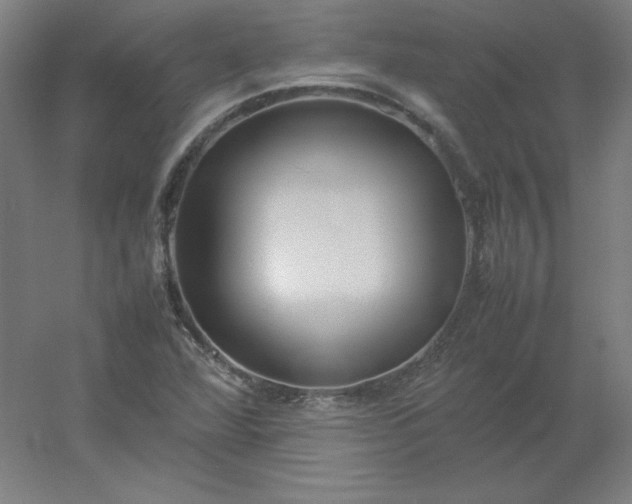 X0000054391360200508121622