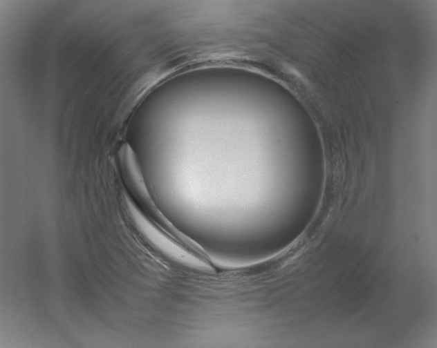 X0000054391361200508121622