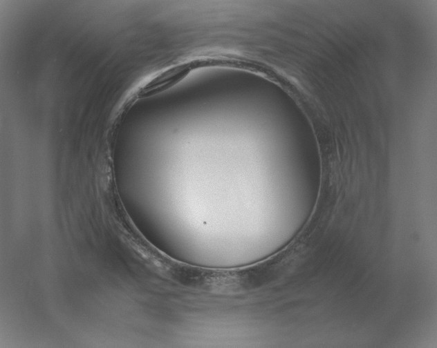 X0000054391363200508121622