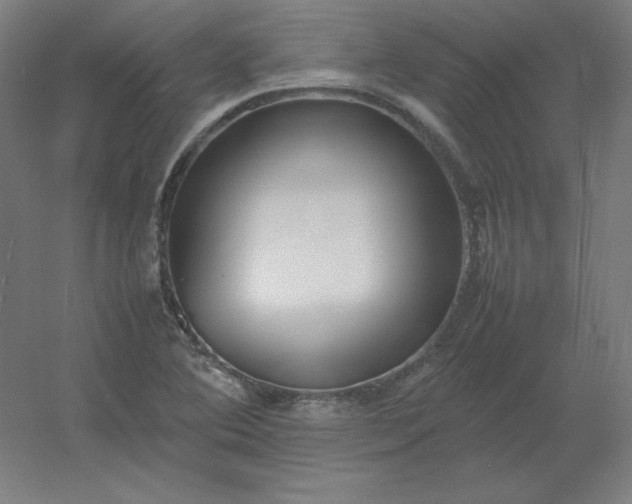 X0000054391364200508121621