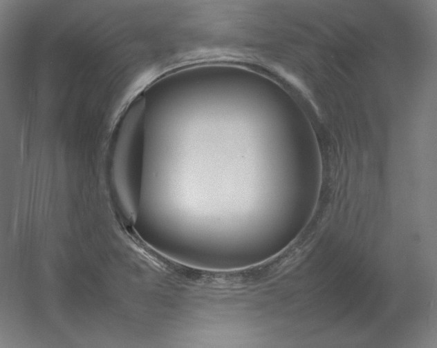 X0000054391365200508121621