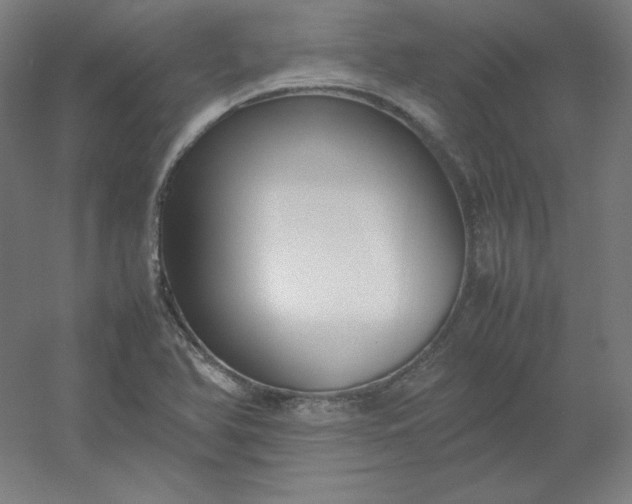 X0000054391366200508121621