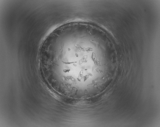 X0000054391367200508121621