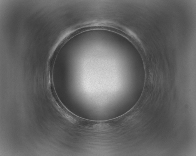 X0000054391368200508121621