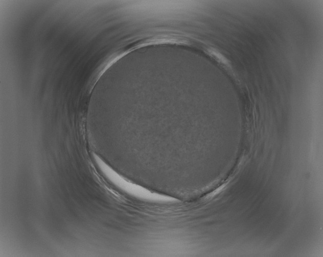 X0000054391369200508121621