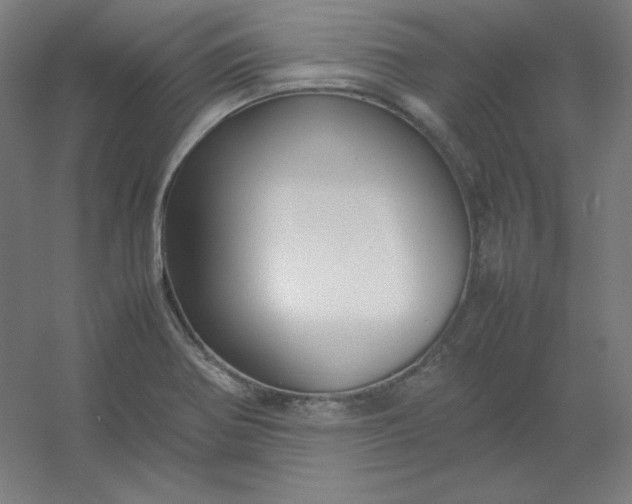 X0000054391370200508121621