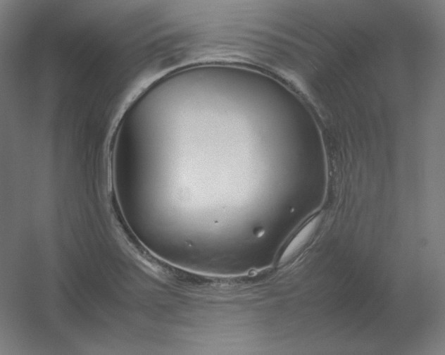 X0000054391371200508121621