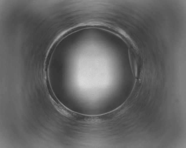 X0000054391372200508121621