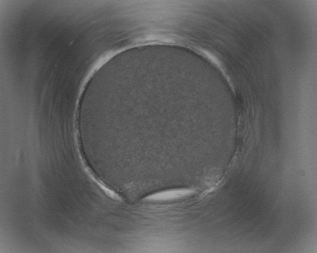 X0000054391373200508121621