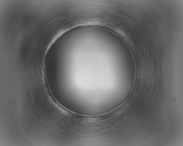 X0000054391374200508121621