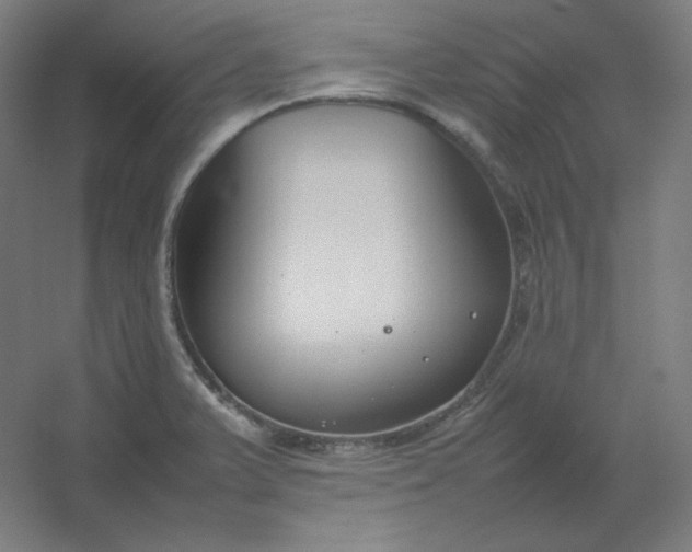 X0000054391375200508121621