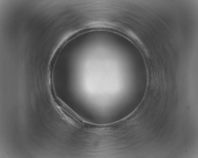 X0000054391376200508121621