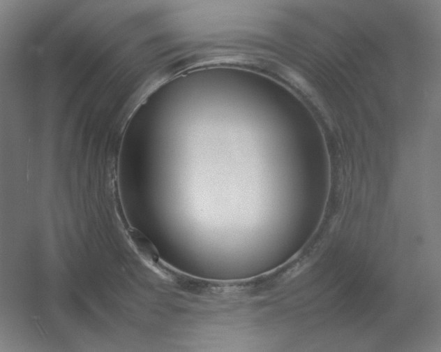 X0000054391377200508121621