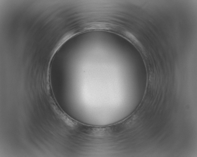 X0000054391378200508121621