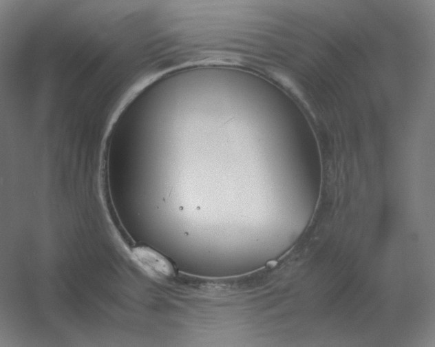 X0000054391379200508121621