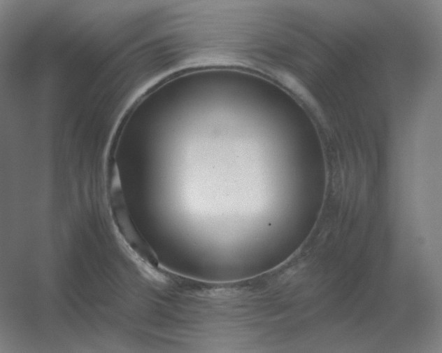 X0000054391380200508121621