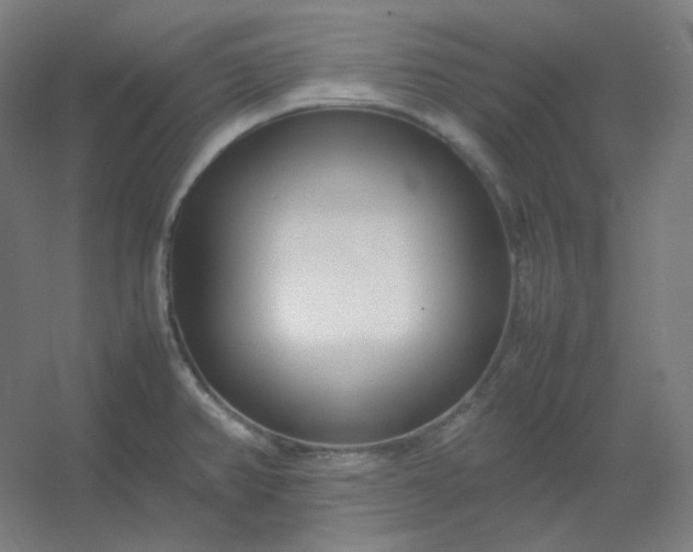 X0000054391382200508121621