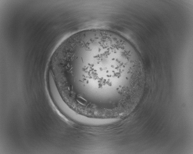 X0000054391383200508121621