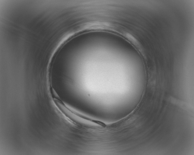 X0000054391384200508121621