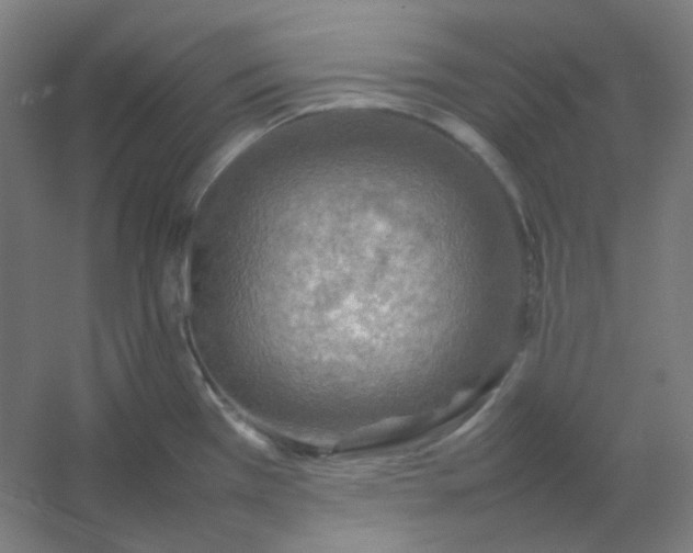 X0000054391385200508121621