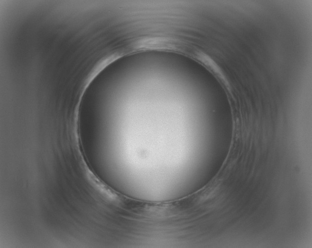 X0000054391386200508121621