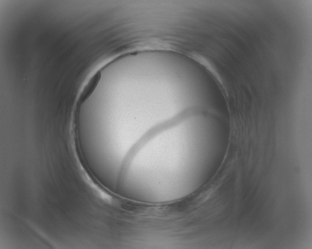 X0000054391387200508121621